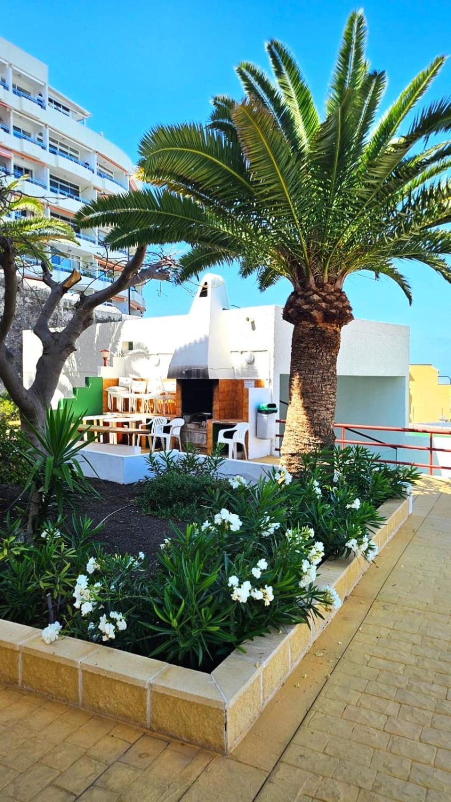 Апартаменты Playa De La Arena Puerto de Santiago  Exteriér fotografie